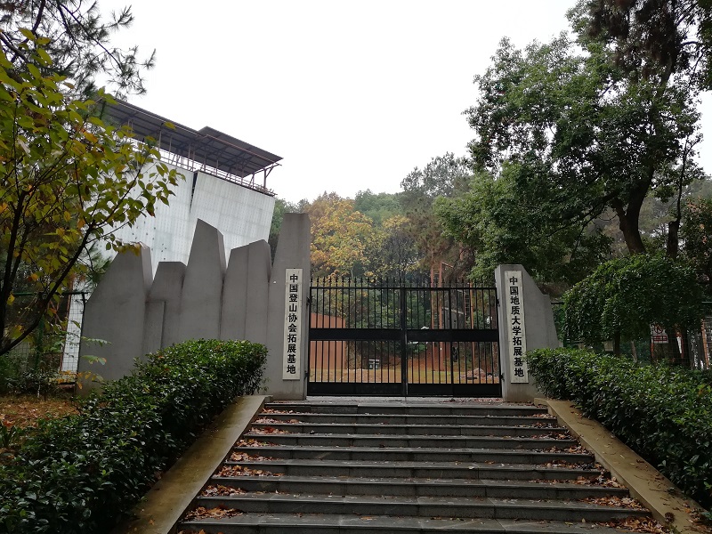 黄色直播