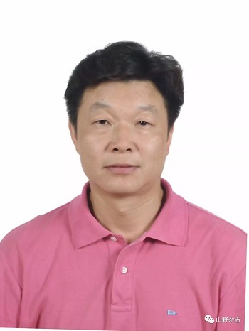 黄色直播